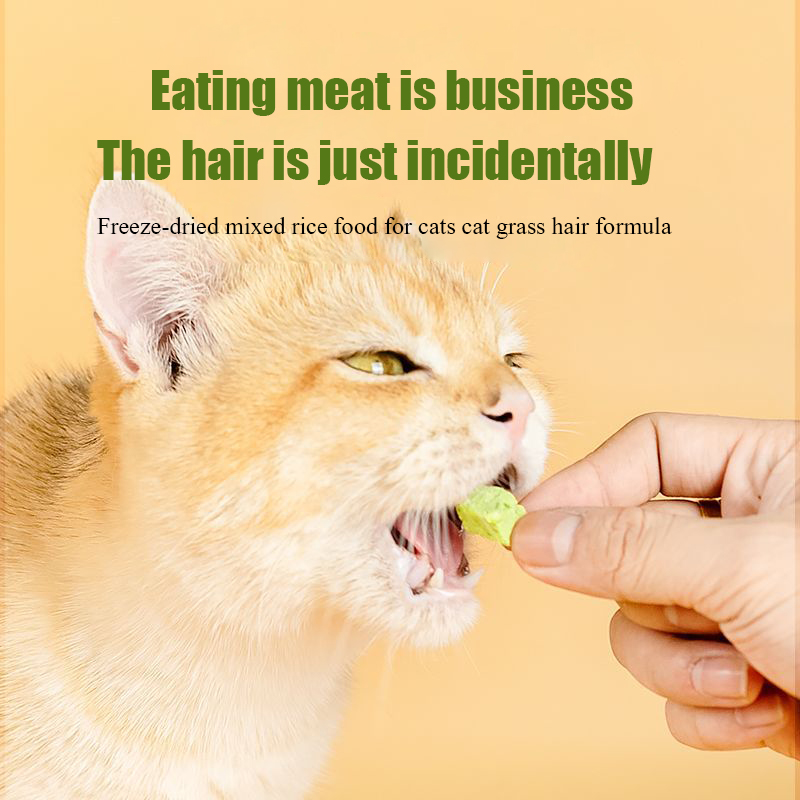 猫草フリーズドライミートスクエア粒子猫用おやつ、すぐに食べら - Snacks Food Ready To Eat のレビューと価格